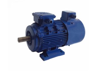 變頻三相異步電動(dòng)機(jī)不同于普通三相異步電動(dòng)機(jī)嗎？