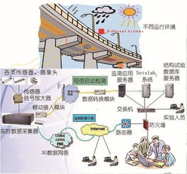 物聯網賦能橋梁監測 實時“查體”技術的開發與應用